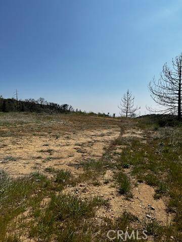 Oak Glen, CA 92399,12085 Lone Pine LN