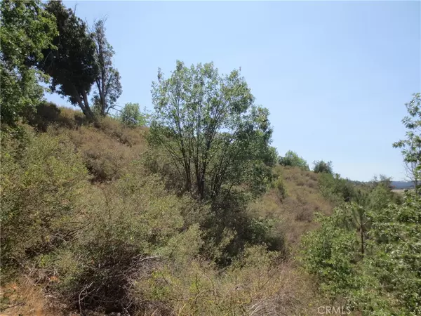 Cedar Glen, CA 92321,0 Fir/Hickory DR