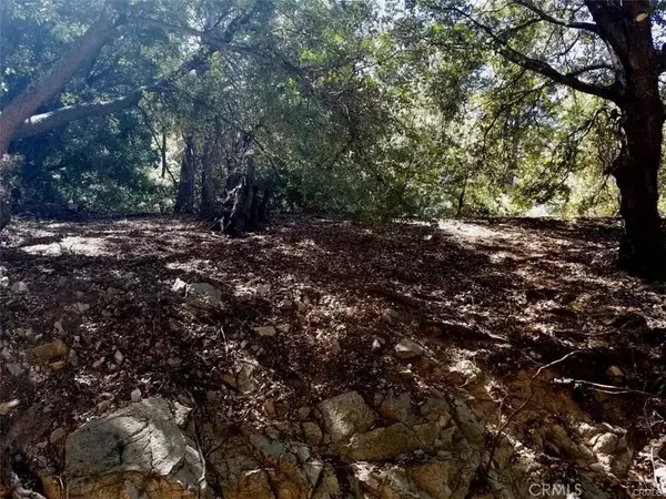 0 Ashlar, Crestline, CA 92325