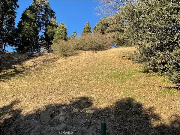 Crestline, CA 92325,0 Cedar LN