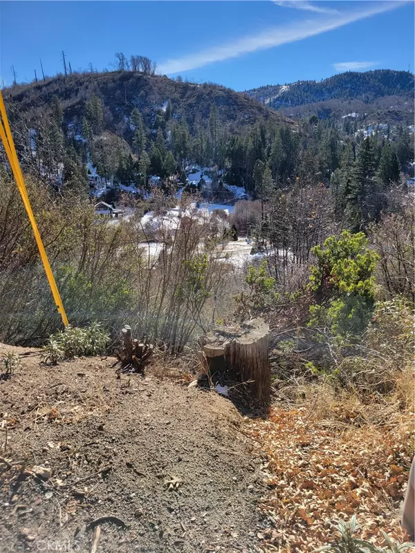 Cedar Glen, CA 92321,0 Linden