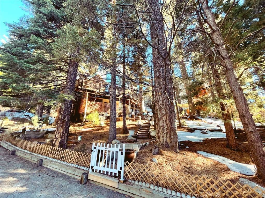 Lake Arrowhead, CA 92352,154 Birchwood DR