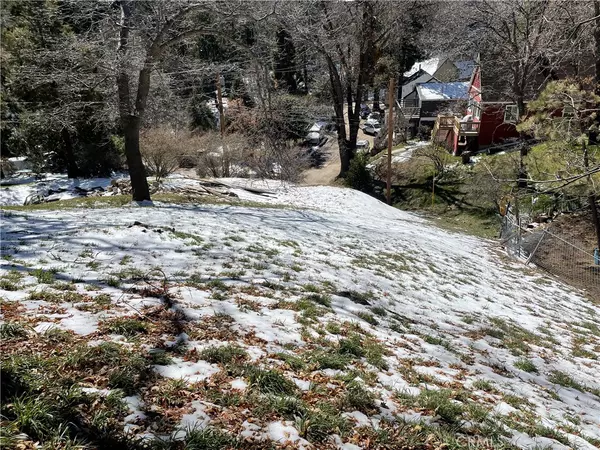 Cedar Glen, CA 92321,0 Lyon DR