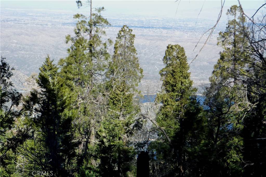 Cedarpines Park, CA 92322,0 Peak Circle