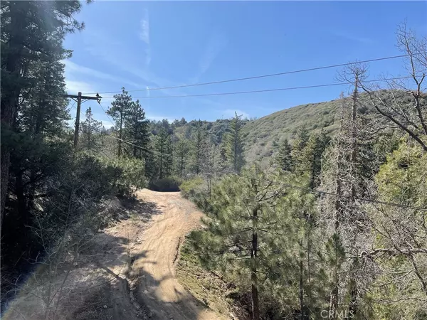 Cedar Glen, CA 92321,0 Elder DR