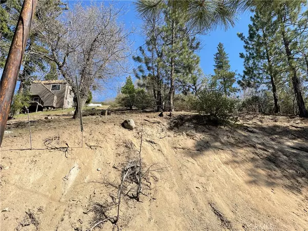 Cedar Glen, CA 92321,0 Elder DR