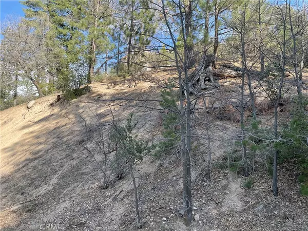 Cedar Glen, CA 92321,0 Elder DR