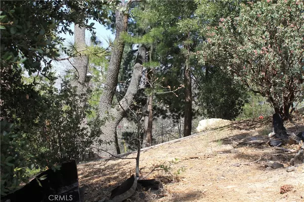 Lake Arrowhead, CA 92352,111 Amador LN