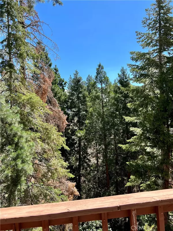 Lake Arrowhead, CA 92352,294 N Fairway DR