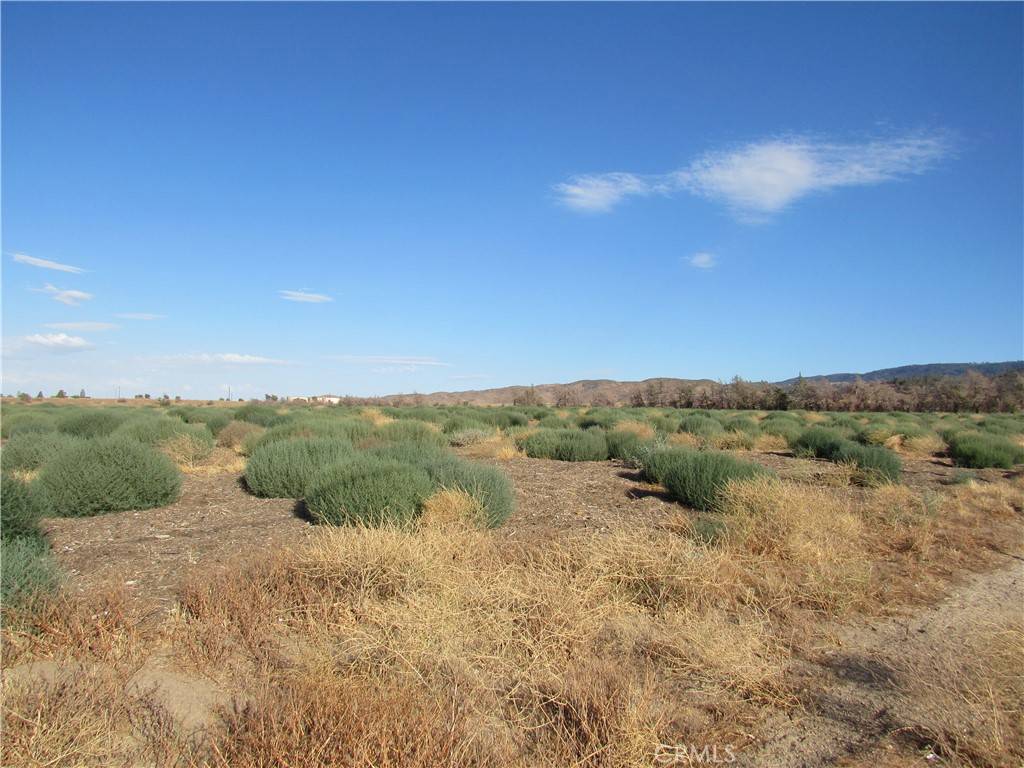 Lancaster, CA 93536,0 3279-001-036 Three Points RD