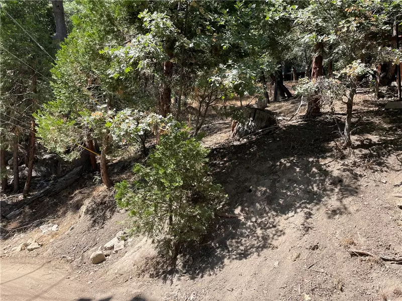 47 Scenic WAY, Rimforest, CA 92378