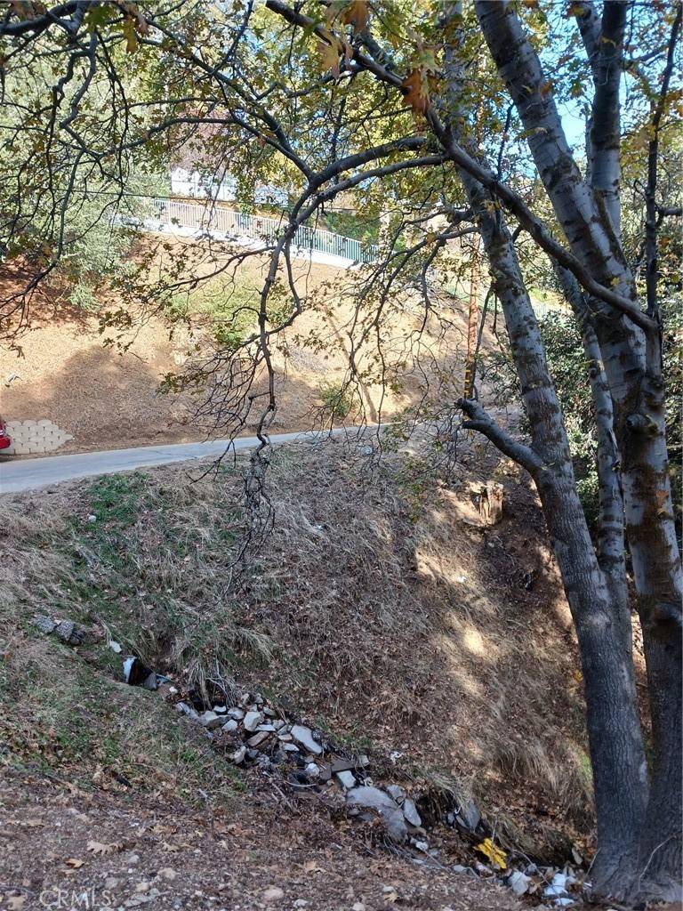 Crestline, CA 92325,24764 Edelwiess DR