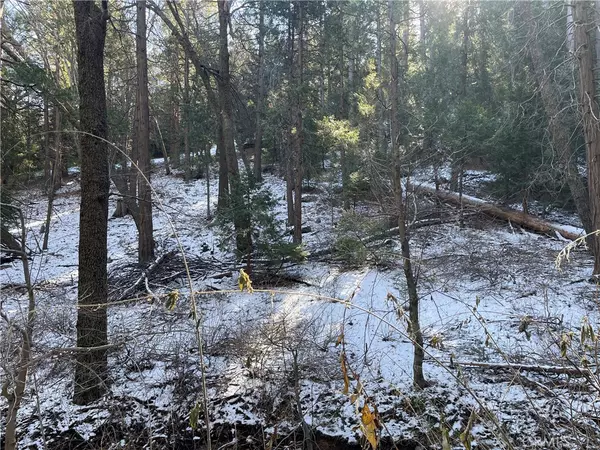 Cedarpines Park, CA 92322,3 Burnt Mill Canyon RD