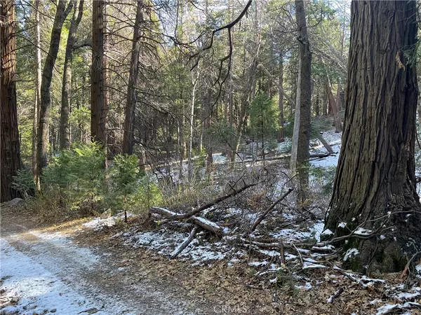 3 Burnt Mill Canyon RD, Cedarpines Park, CA 92322