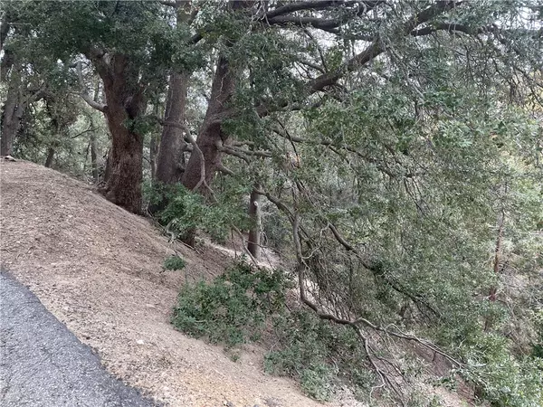 Crestline, CA 92325,232 Lot 232 Jewel DR