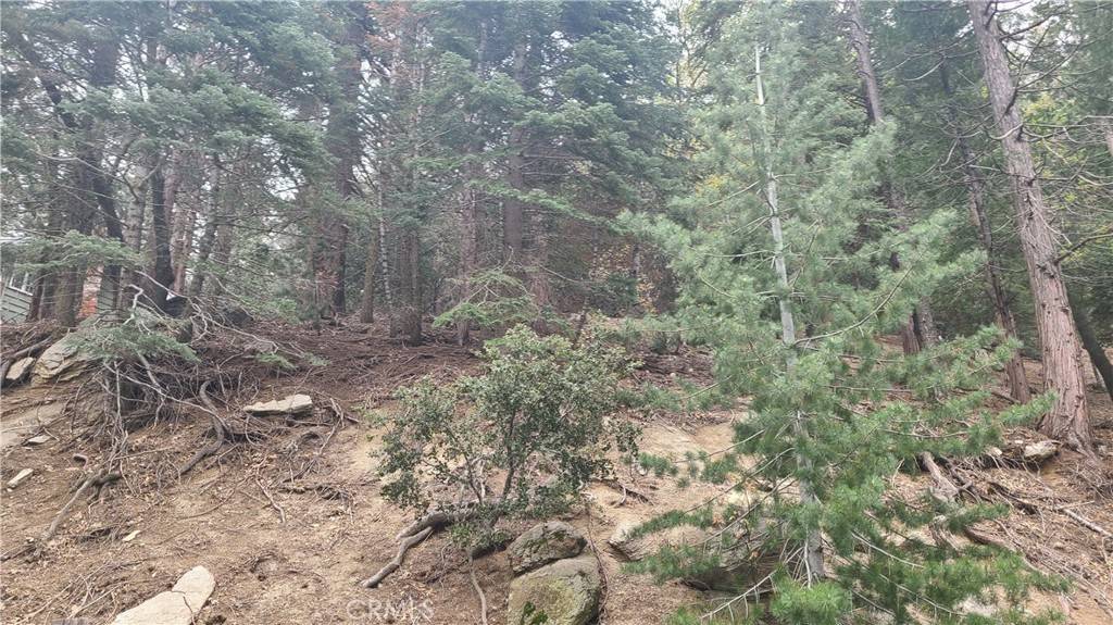 Crestline, CA 92325,60 Lausanne DR