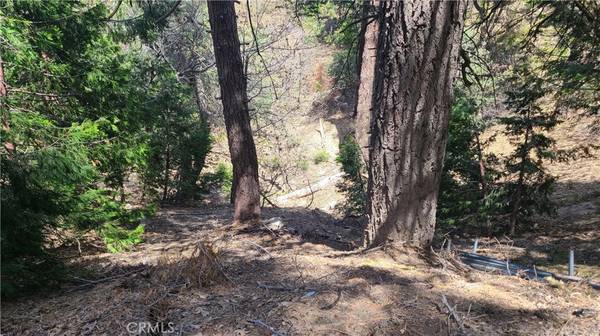 Cedar Glen, CA 92321,29186 Arrowhead DR