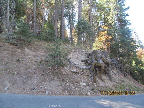 Twin Peaks, CA 92391,0 Rose LN