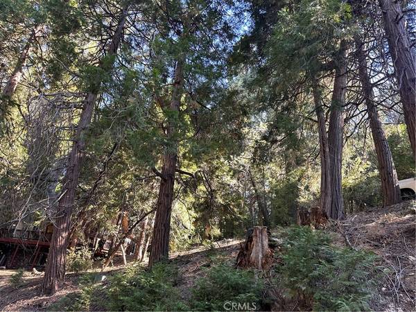Cedar Glen, CA 92321,0 Alder Terrace