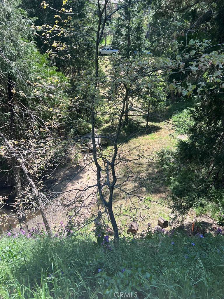 Crestline, CA 92325,24580 Bernard DR
