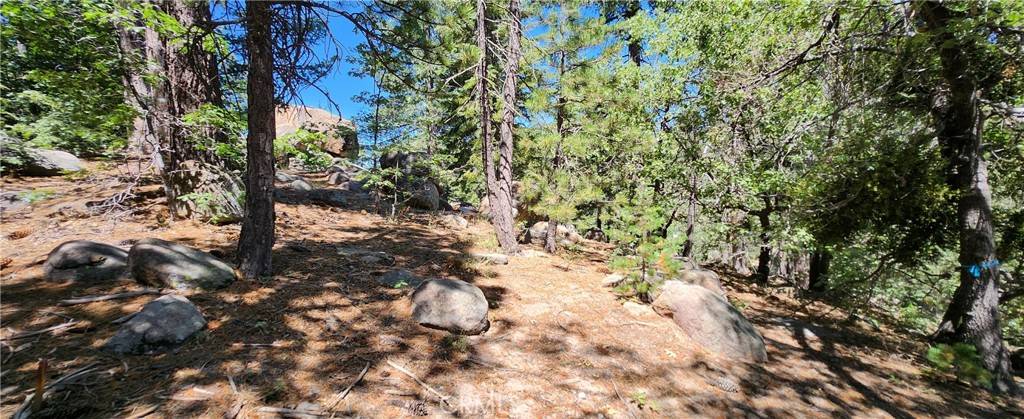 Running Springs, CA 92382,32311 FERN DR