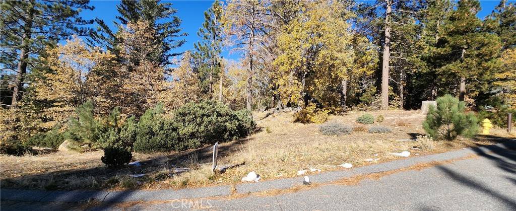 Running Springs, CA 92382,32240 Whisper DR