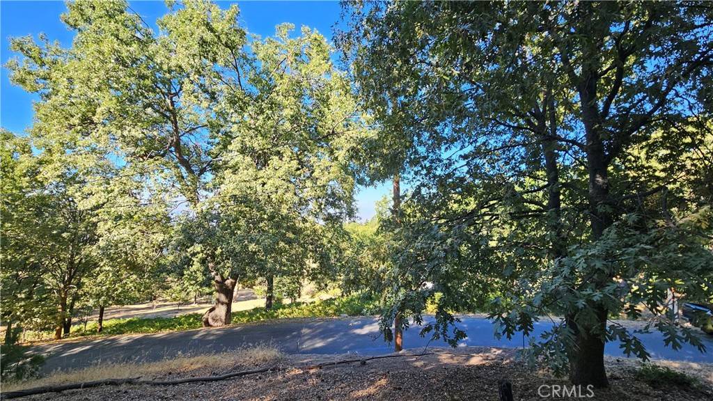 Running Springs, CA 92382,72 Park DR