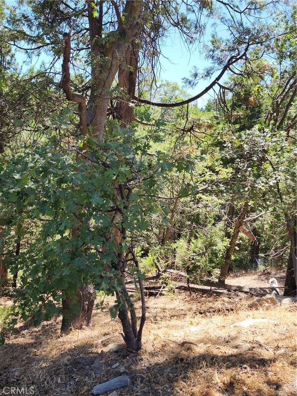 Twin Peaks, CA 92391,0 Sky Ridge DR