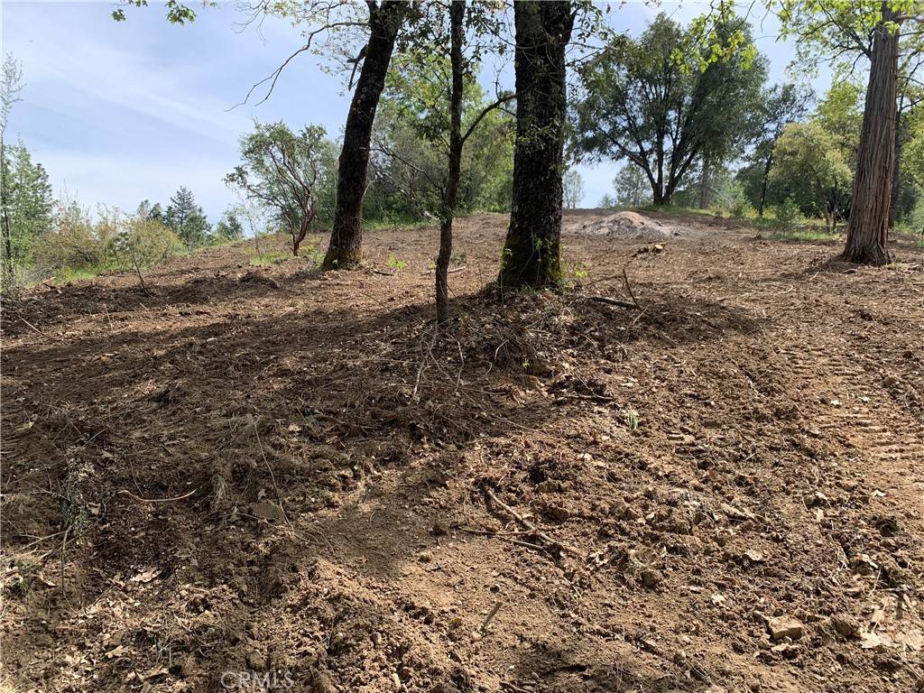 Oakhurst, CA 93644,222 Rd 222