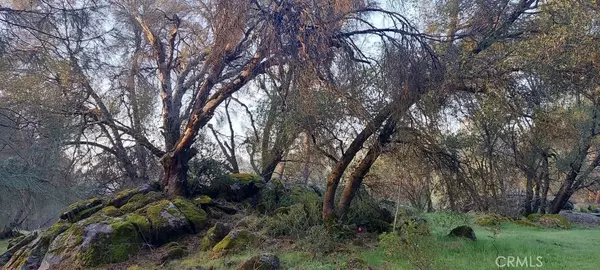 Mariposa, CA 95338,4668 Ashworth RD
