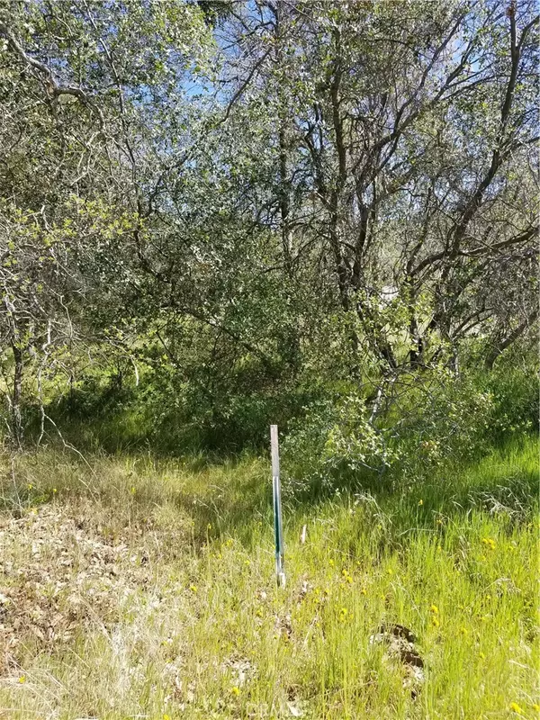 44174 Trabuco RD, Coarsegold, CA 93614