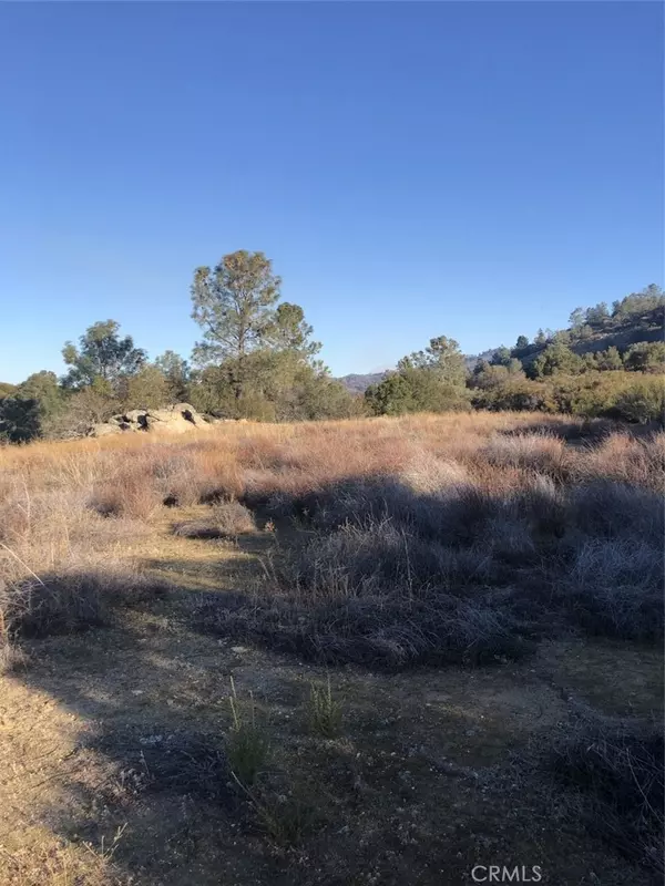 Coarsegold, CA 93614,0 3.26 AC Douglas TRL