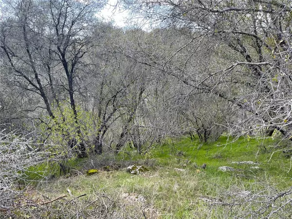 111 Navajo CT, Coarsegold, CA 93614