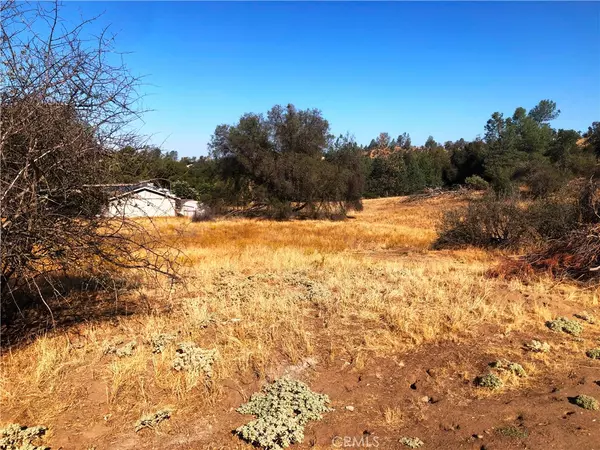 Coarsegold, CA 93614,0 Revis RD