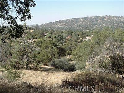 Coarsegold, CA 93614,1861 North Dome DR
