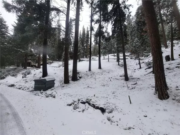 Yosemite, CA 95389,7236 Yosemite Park WAY