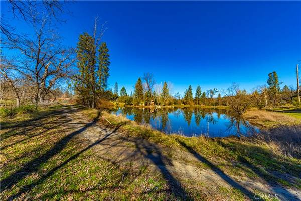 Oakhurst, CA 93644,0 4.53 AC Wortham RD