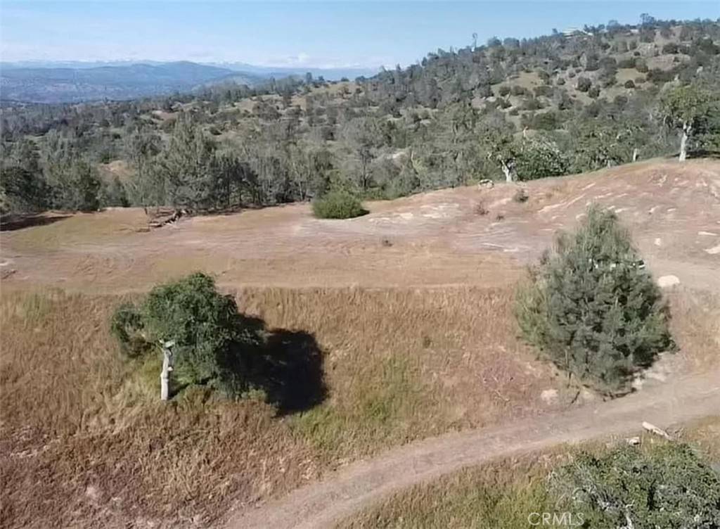 Coarsegold, CA 93614,29777 Lilley Mountain CT