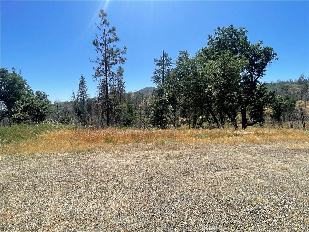 Mariposa, CA 95338,6264 Jerseydale RD
