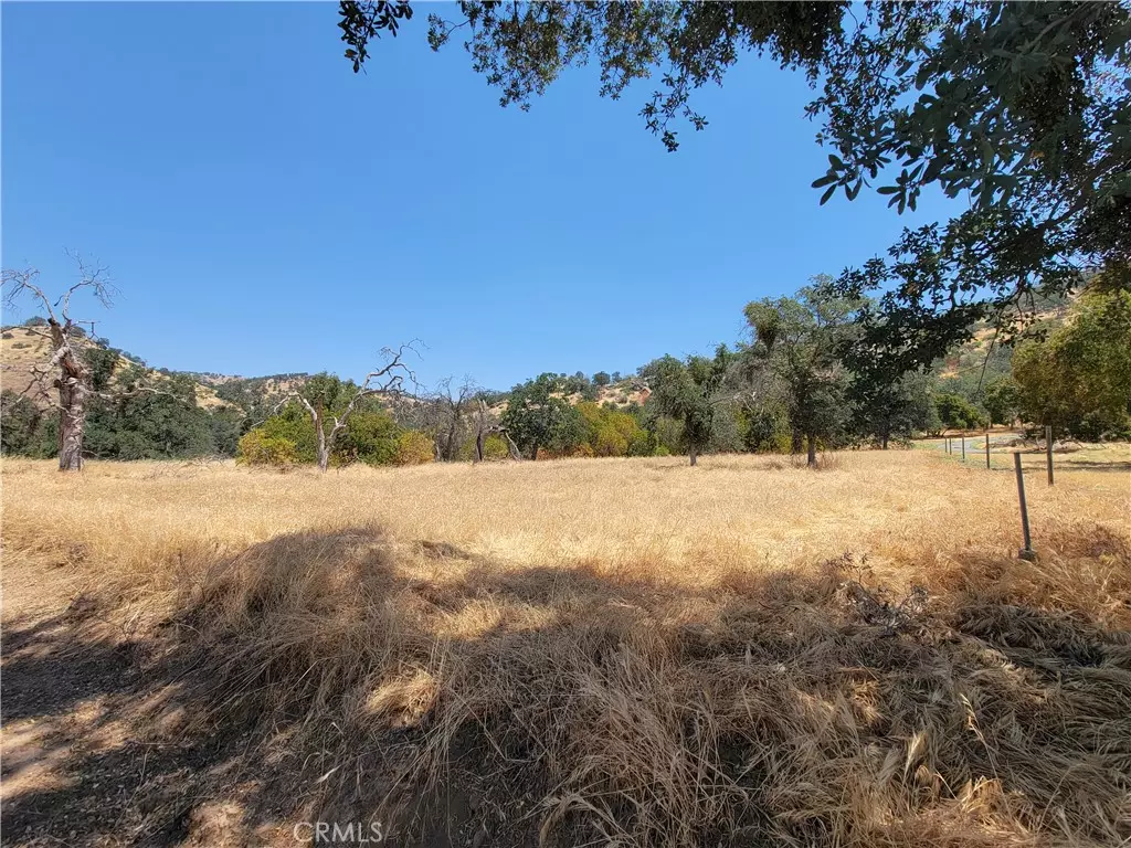Squaw Valley, CA 93675,0 Clover LN