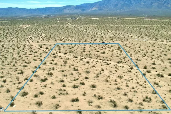 Johnson Valley, CA 92285,11 Datura TER