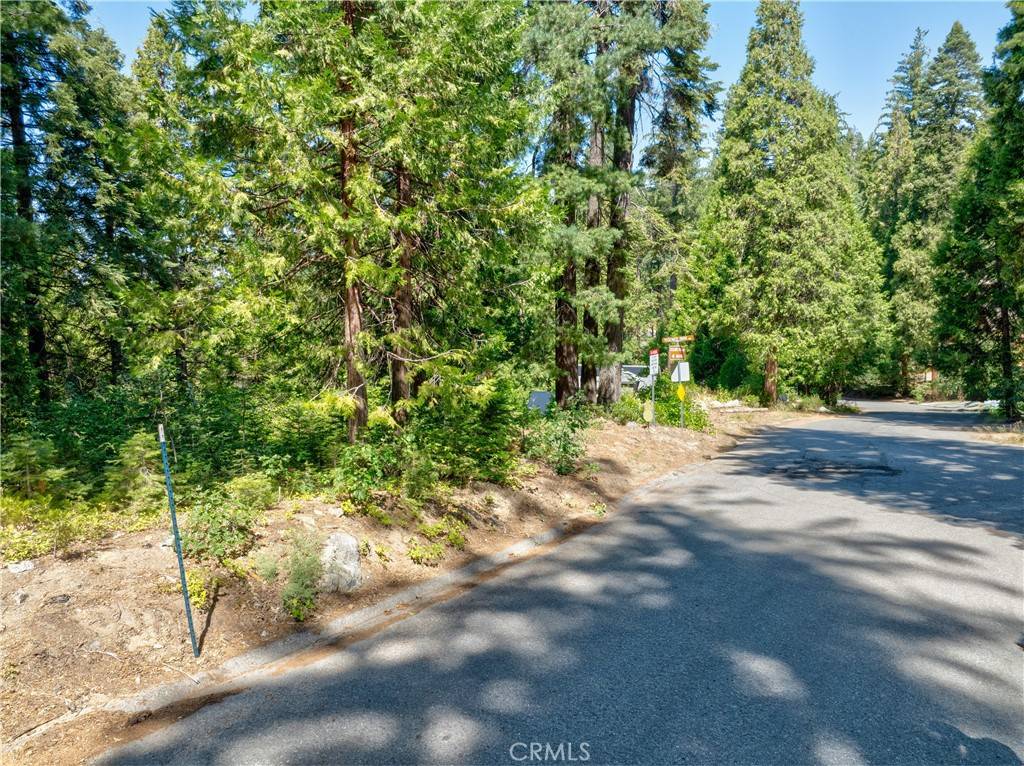 Yosemite, CA 95389,7199 Manzanita LN