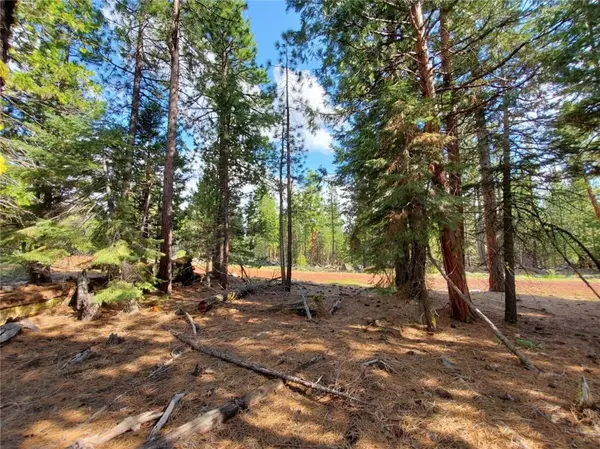 Alturas, CA 96101,0 Sundown RD