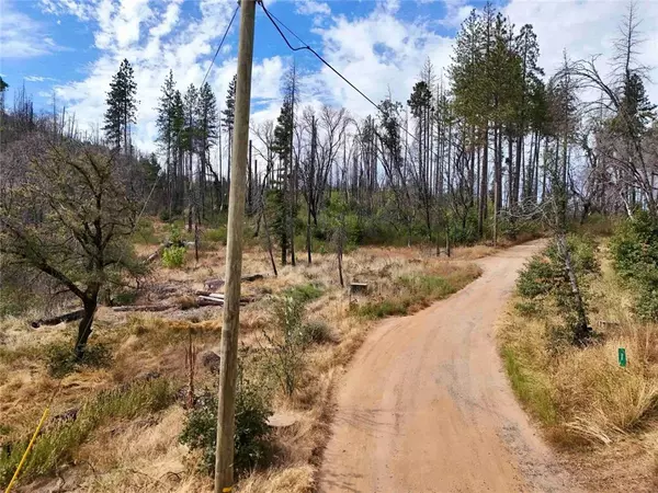 Berry Creek, CA 95916,33 Pine Tree LN