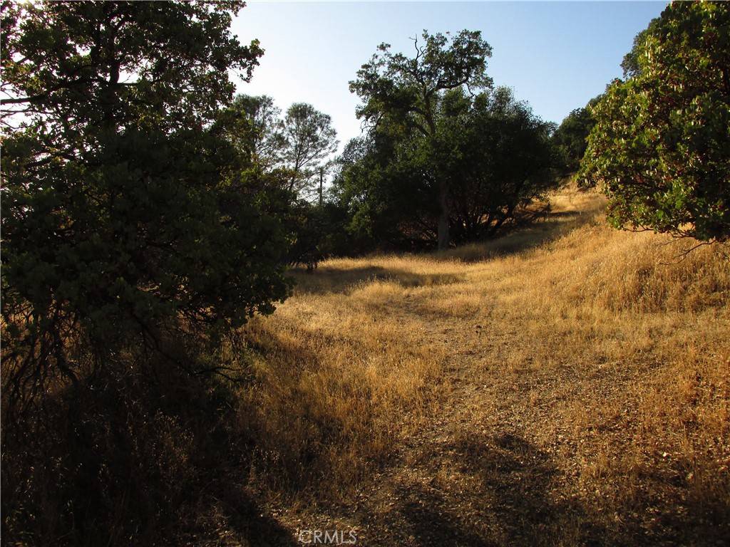 North Fork, CA 93643,2 Ac Old Oaks CT