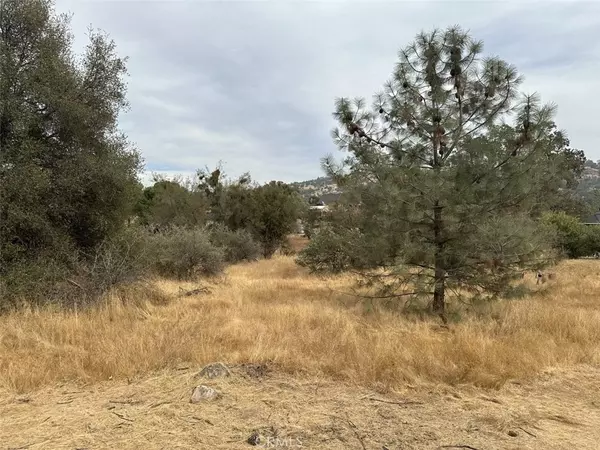 Coarsegold, CA 93614,0 Lot 880 Jim Bowie CT