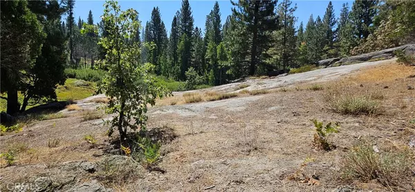 North Fork, CA 93643,108 Forest RD