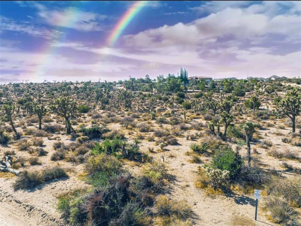 56200 Skyline Ranch RD, Yucca Valley, CA 92284