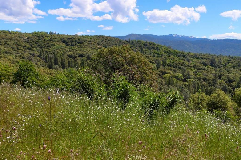 Oakhurst, CA 93644,0 155.3 AC Old Yosemite RD