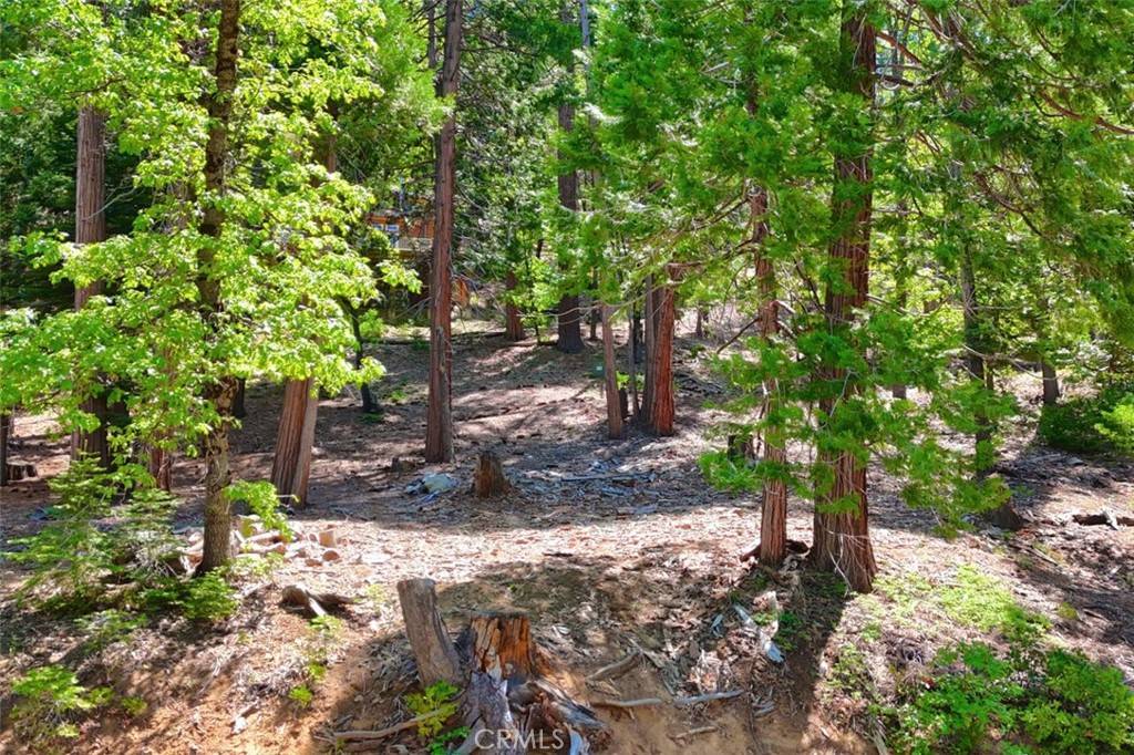 Yosemite, CA 95389,7220 Yosemite Park WAY